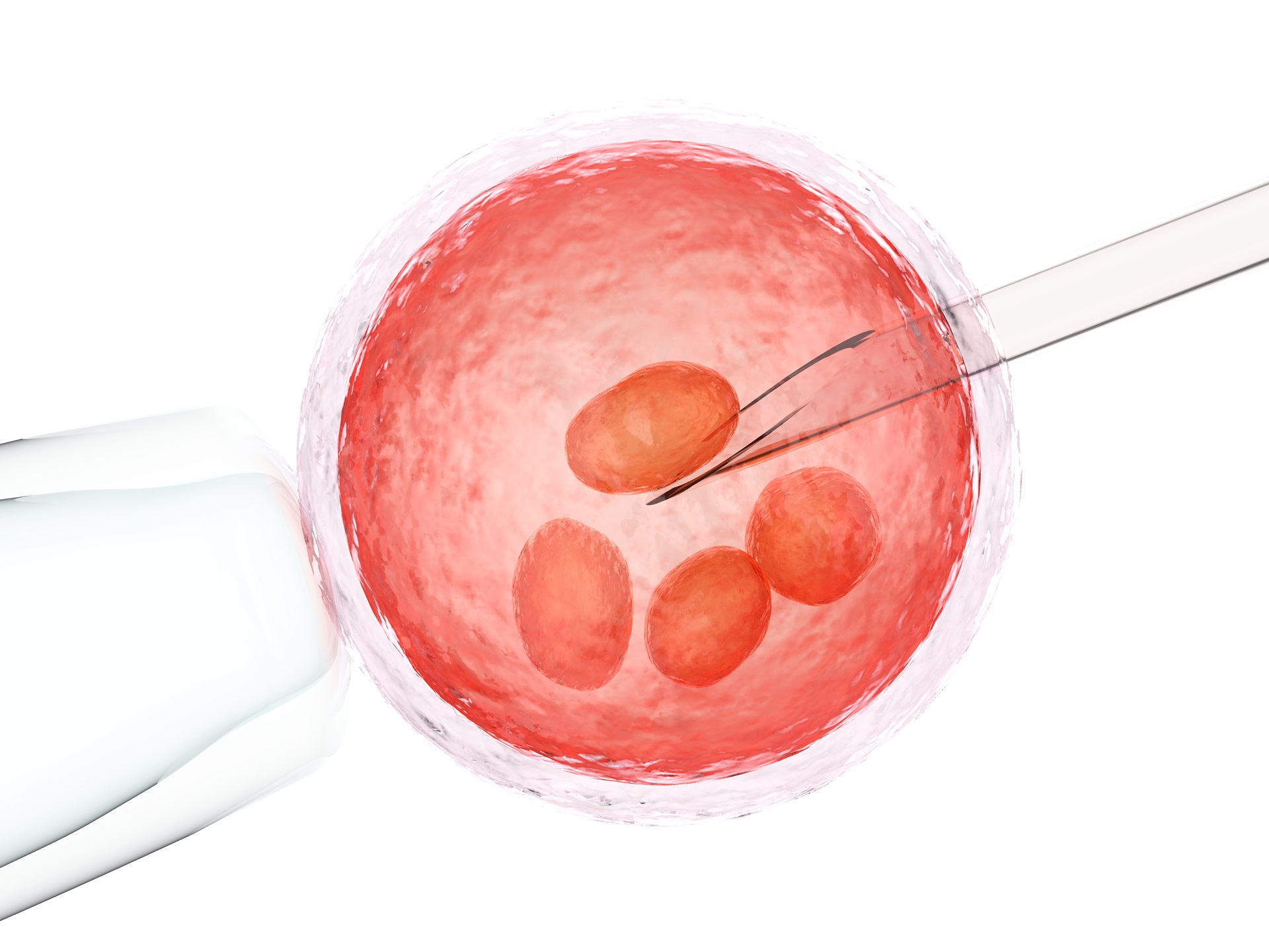 IVF Centre in Navi Mumbai