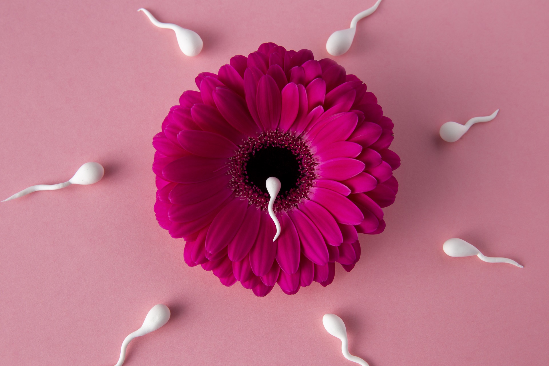 IUI treatment in Navi Mumbai